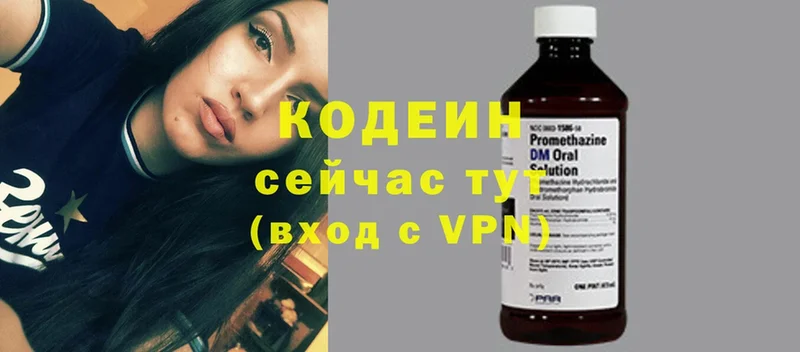 блэк спрут как войти  наркота  Жирновск  Codein Purple Drank 