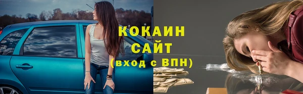 трава Алагир