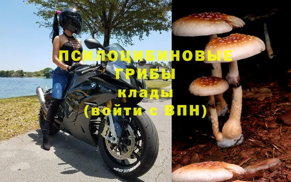 дмт Артём